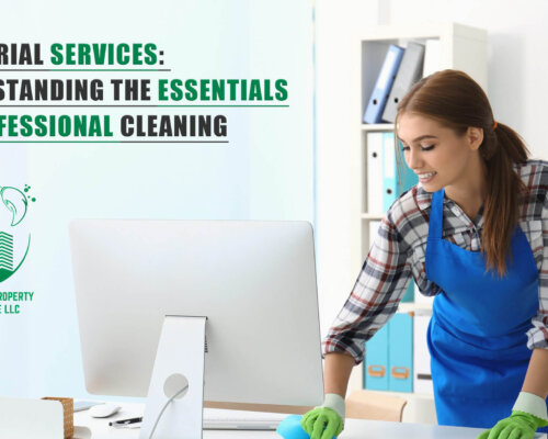 Janitorial Services: Understanding The Essentials Of Professional Cleaning